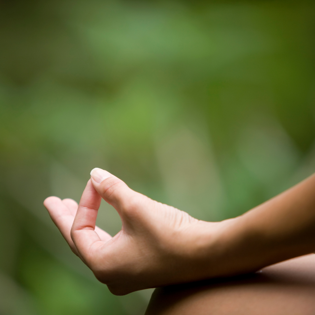 Pure Prana : Personalised yoga for health & vitality